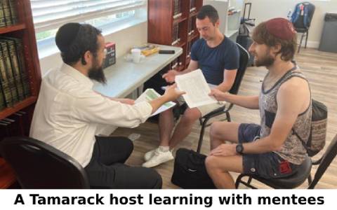 A Tamarack host learning with mentees